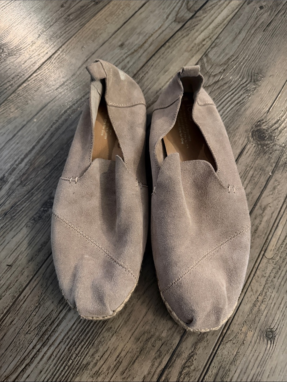 Toms Suede Espadrilles in Taupe